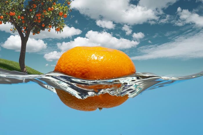 Oranges in water-1